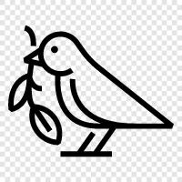 avian, pet, house, pet bird icon svg