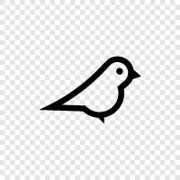 avian, seagull, crow, parrot ikon svg