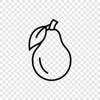 avocado farmers, avocado growers, avocado trade, avocado prices icon svg