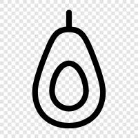 Avocadoöl, Avocadobaum, Avocadoobst, Avocadozucht symbol