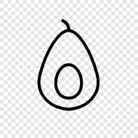 avocado tree, avocado harvest, avocado export, avocado import icon svg