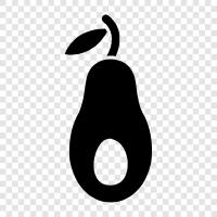 avocado tree, avocado fruit, avocado farming, avocado prices icon svg