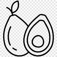 avocado tree, avocado fruit, avocado consumption, avocado recipes icon svg