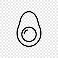 avocado tree, avocado crop, avocado farming, avocado prices icon svg