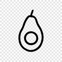 avocado tree, avocado fruit, avocado farming, avocado crop icon svg