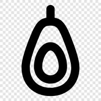 Avocadobaum, Avocadofrucht, Avocadoöl, Avocadogrube symbol