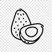 avocados, avocado tree, avocado fruit, avocado cultivation icon svg