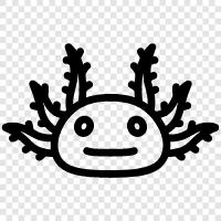 axolotl, salamander, Mexican axolotl, axelotl icon svg