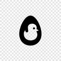 baby, chick, baby bird, baby rabbit icon svg