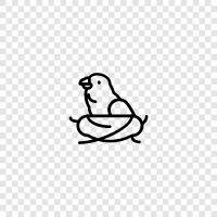 baby, chick, feather, flight icon svg