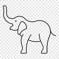 bebek fil, elephant bakım, elephant koruma, elephant tarım ikon svg