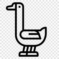 baby geese, farming, transportation, meat icon svg