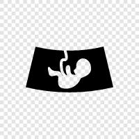 baby, child, fetus development, prenatal development icon svg