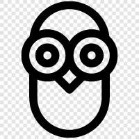 bebek baykuş, owl gerçekleri, owl resimleri, owl videoları ikon svg