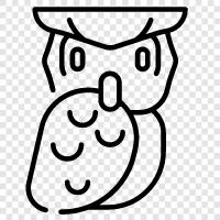 baby owl, barn owl, brown owl, cute owl icon svg