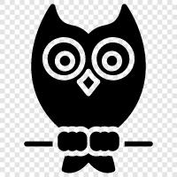 baby owl, cute owl, big owl, endangered owl icon svg