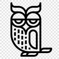 Baby owl, Hoot owl, Boreal owl, Barn owl icon svg