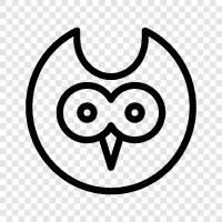 baby owl, owl eyes, owl feathers, owl nest icon svg