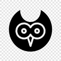 baby owls, owl facts, Owl icon svg