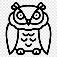 baby owls, barn owls, tawny owls, hawk icon svg