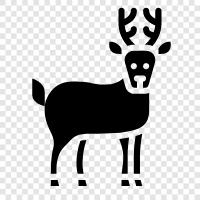 baby reindeer, reindeer antlers, reindeer head, reindeer icon svg