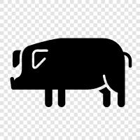 bacon, pork, ham, sausage icon svg