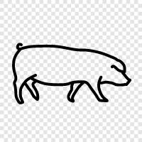 bacon, pork, ham, sausage icon svg