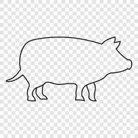 bacon, pork, ham, sausage icon svg