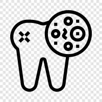 bacteria colonies, bacteria colonies on agar, bacteria growth, bacteria identification icon svg