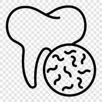 bacteria icon svg