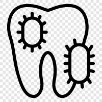 bacteria icon svg