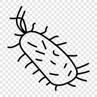 bacteria icon svg