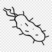 bacteria icon svg