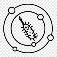 bacteria icon svg