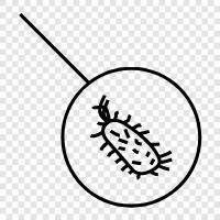 bacteria icon svg