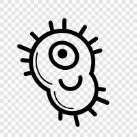 bacteria icon svg