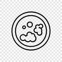 bacteria, protozoa, fungus, virus icon svg