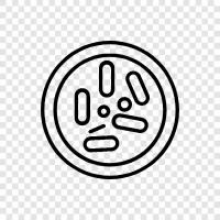 bacteria icon svg