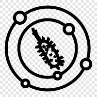 bacteria icon svg