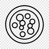 bacteria icon svg