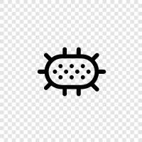 bacteria icon svg