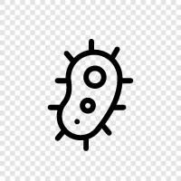 bacteria, viruses, sickness, hygiene icon svg