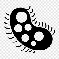 bacteria icon svg