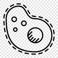 bacteria icon svg