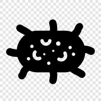 bacteria, sickness, infection, sicknesses icon svg