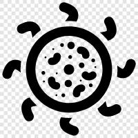 bacteria icon svg