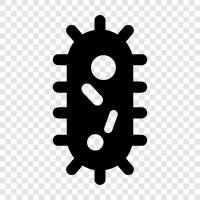 bacteria, virus, fungus, protozoan icon svg