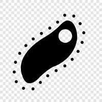 bacteria icon svg