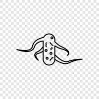 bacteria icon svg