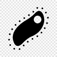 bacteria icon svg